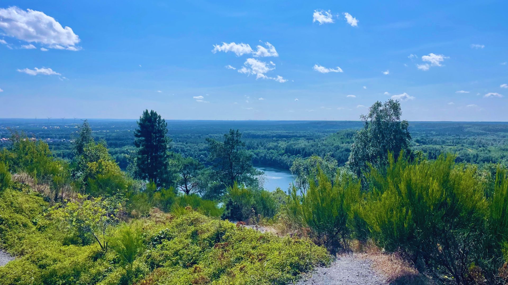 You are currently viewing Le Parc National de Campine