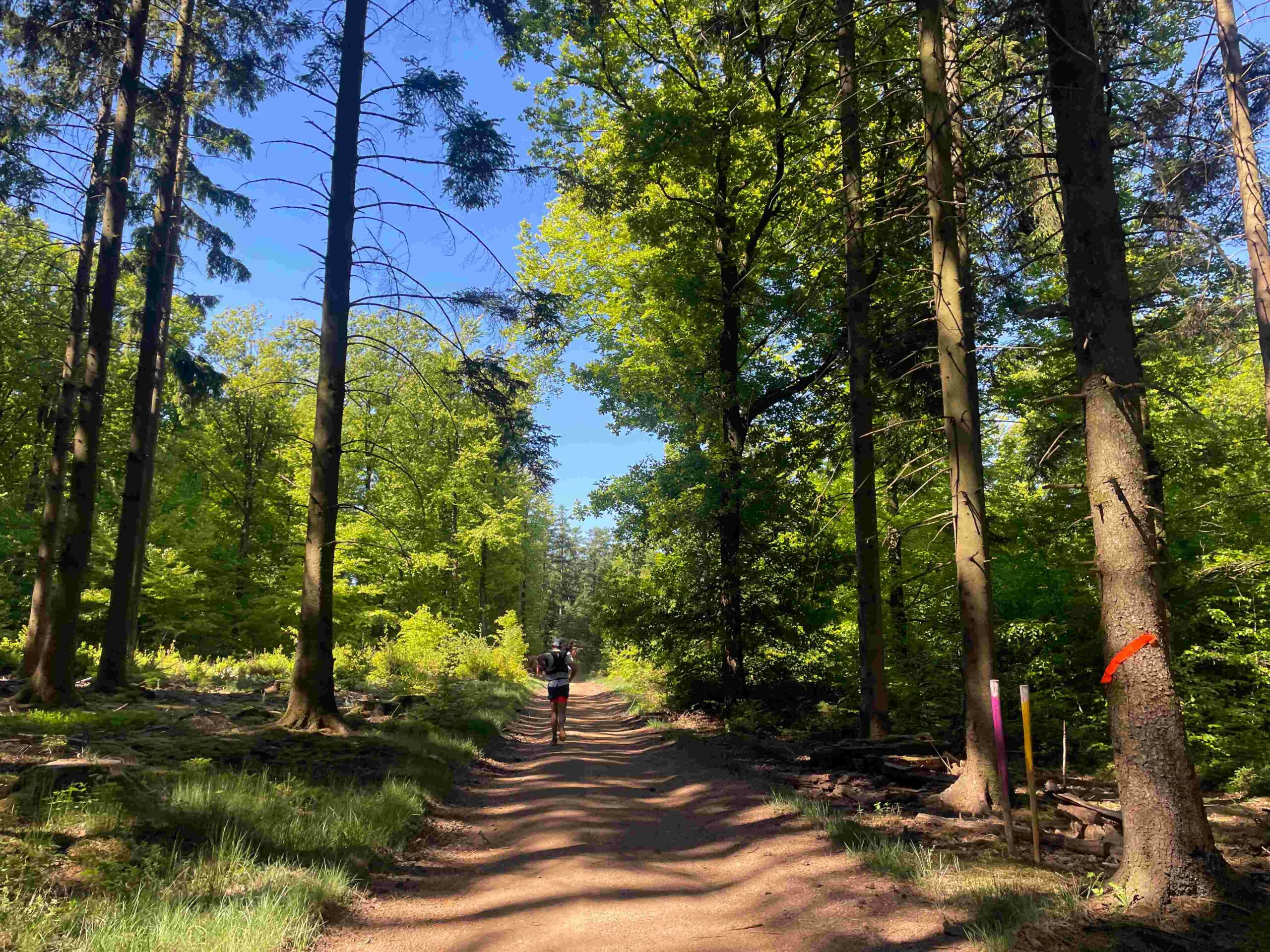 You are currently viewing Le Trail du Jambon